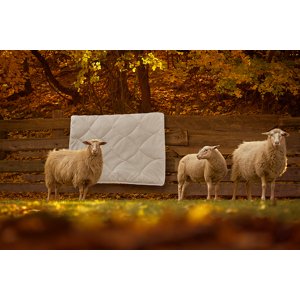 Picaso manufactury Vlněná přikrývka Komfort Wool Vyberte jeden rozměr přikrývky: 140x200 cm